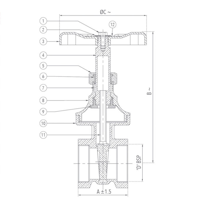 Bronze Gate Valve (Hex. Type) (Screwed) Design