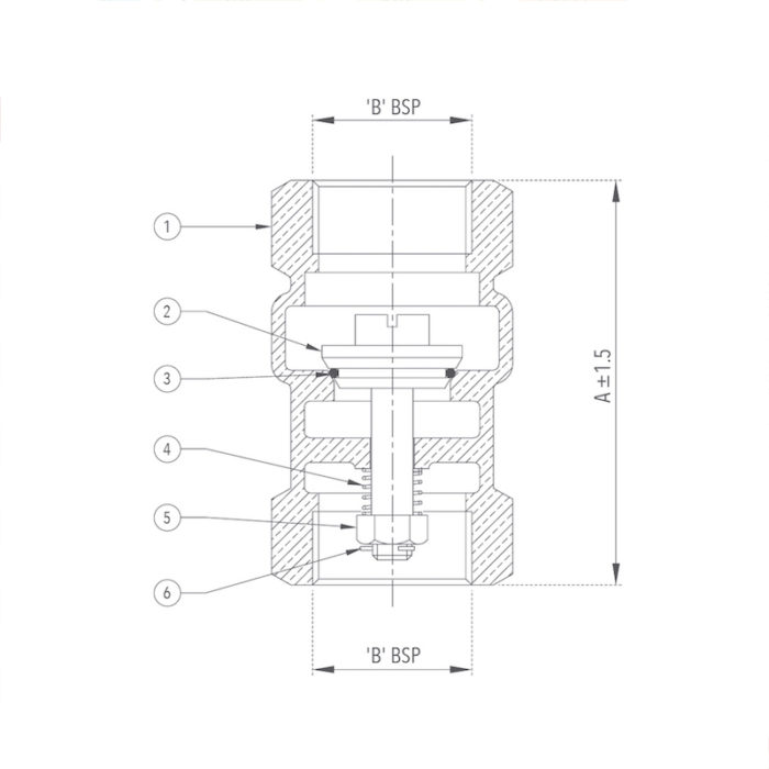 Bronze Vertical Check Valve (Screwed) Design