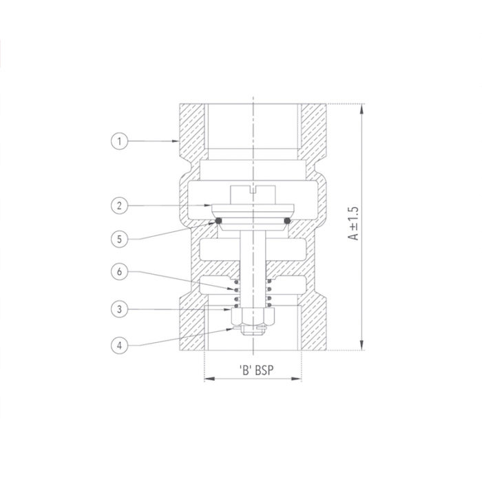 Bronze Vertical Check Valve (Screwed) Design