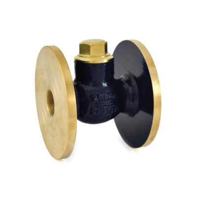 Bronze Horizontal Check Valve (Flanged)