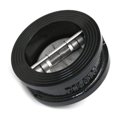 Cast Iron Dual Plate Wafer Type Check Valve (PN 16)