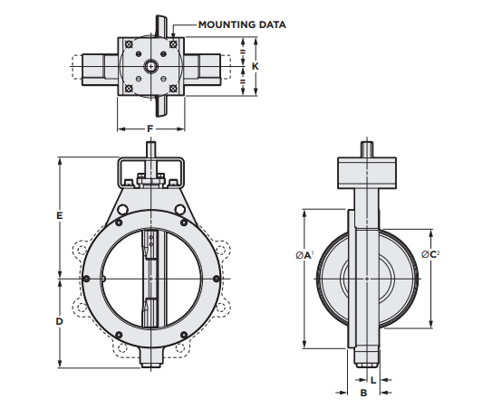 Bray Butterfly Valves Series 40 Design